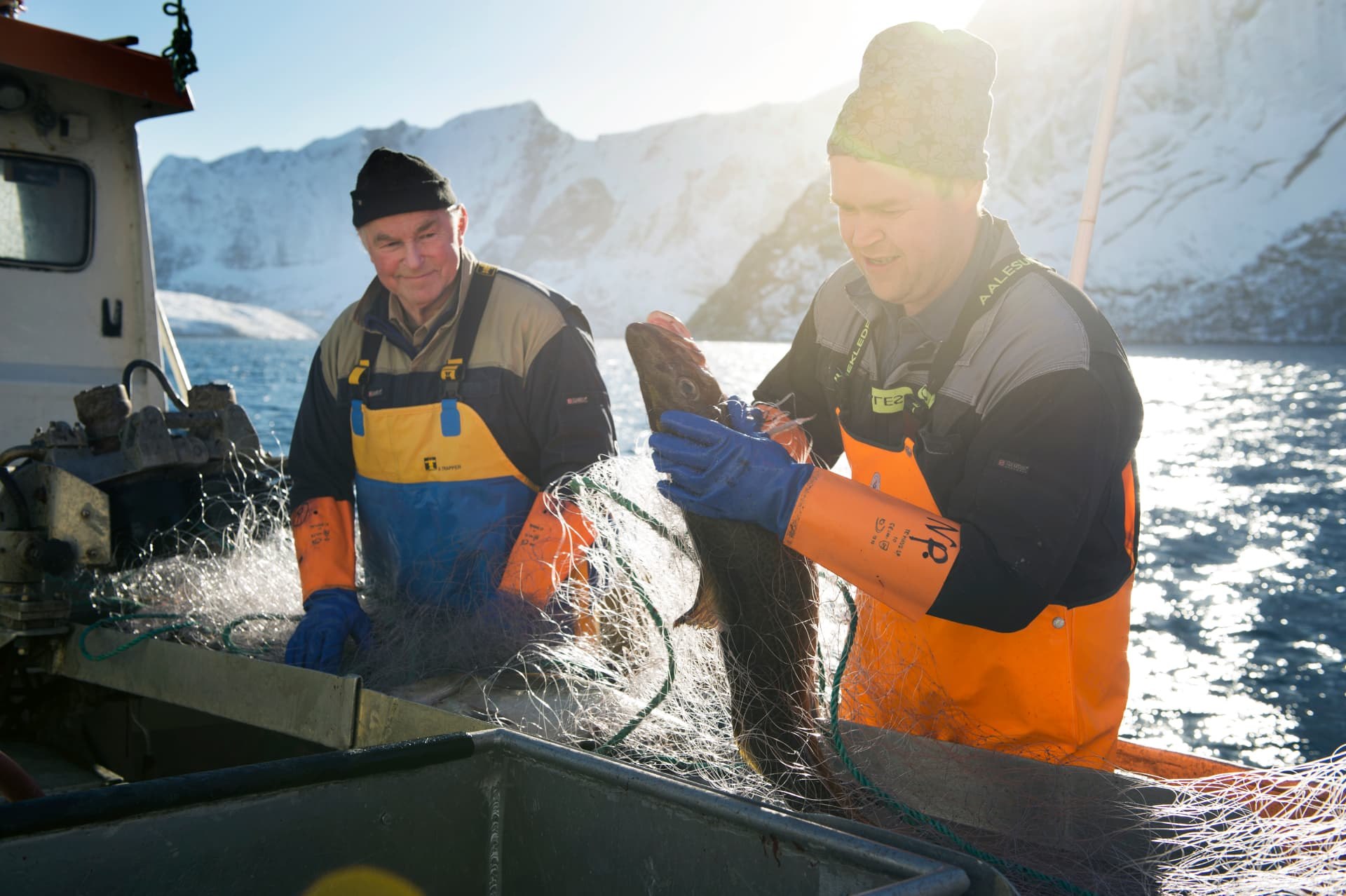 Fishermen carefully removing a cod from a net aboard a Norwegian vessel