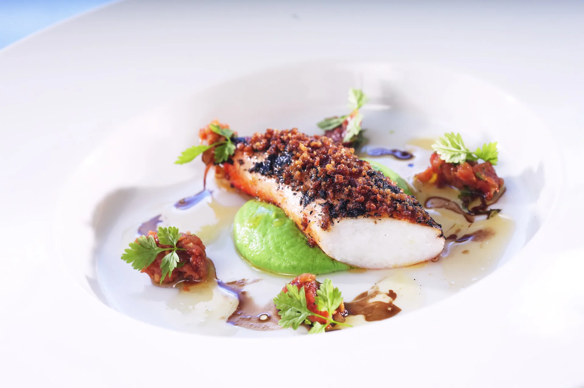 Crabe royal rouge (Paralithodes camtschaticus) — Crabe royal dressé sur assiette avec mousseline verte et herbes aromatiques