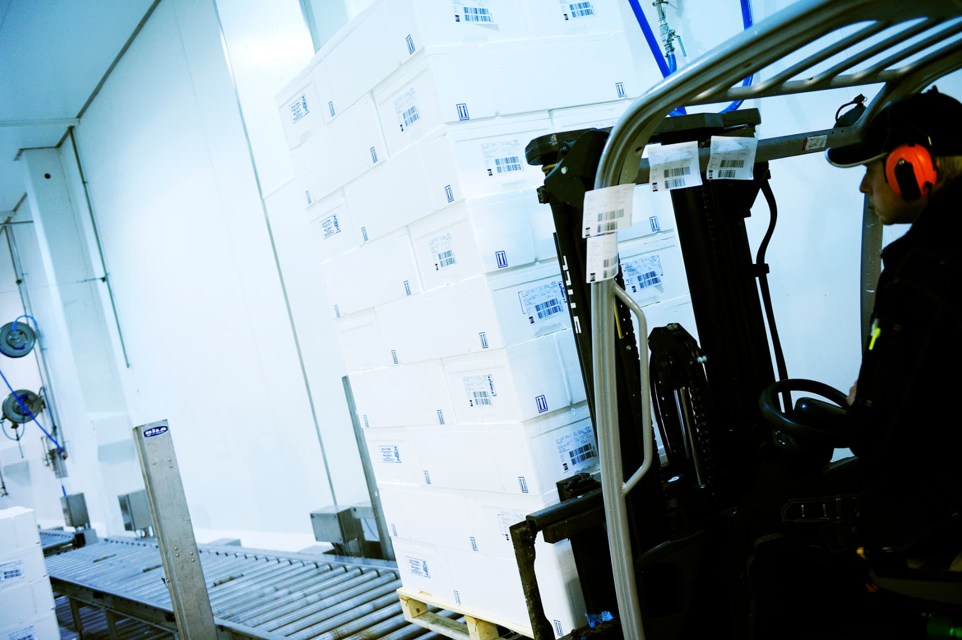 Ein Gabelstapler bewegt Paletten mit etikettierten Kartons in einem Kühlhaus
