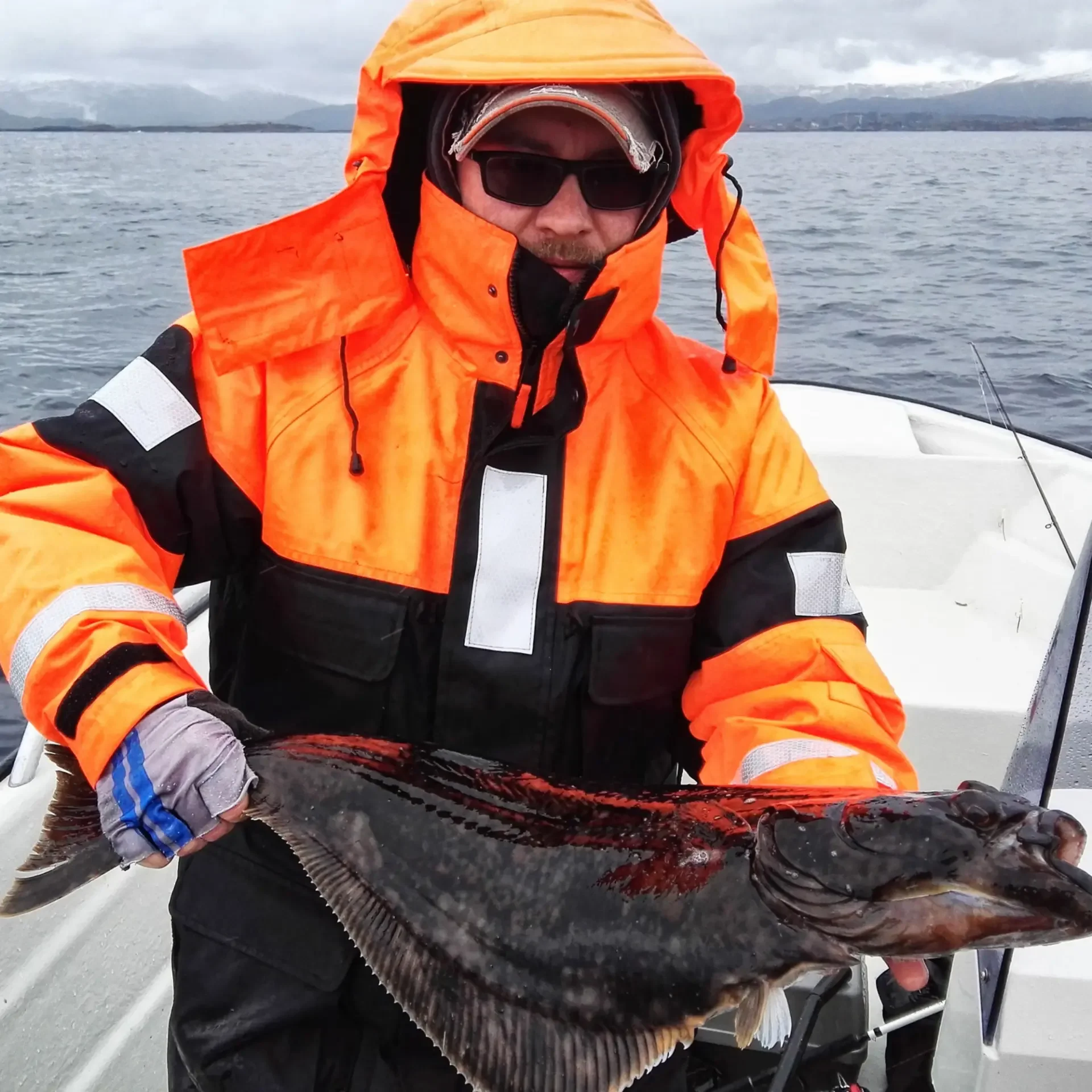 Pêcheur côtier norvégien en combinaison de flottaison orange tenant un grand flétan de l'Atlantique à bord d'une embarcation