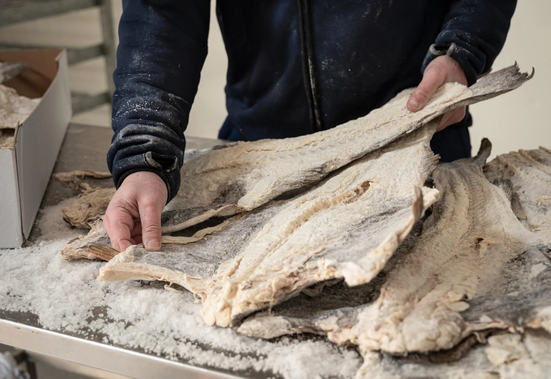 Klipfisz i ryba solona (Gadus morhua) — Producent sprawdzający rybę soloną przed ręcznym pakowaniem