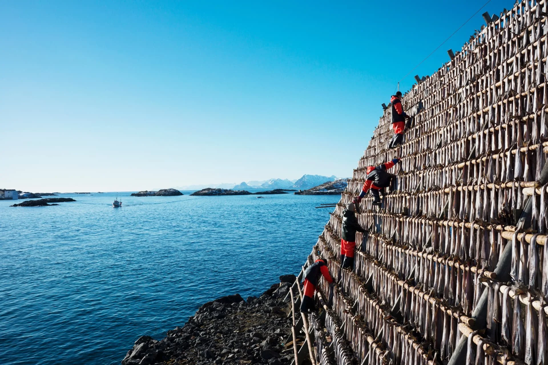Calendrier de la saison des produits de la mer de Norvège