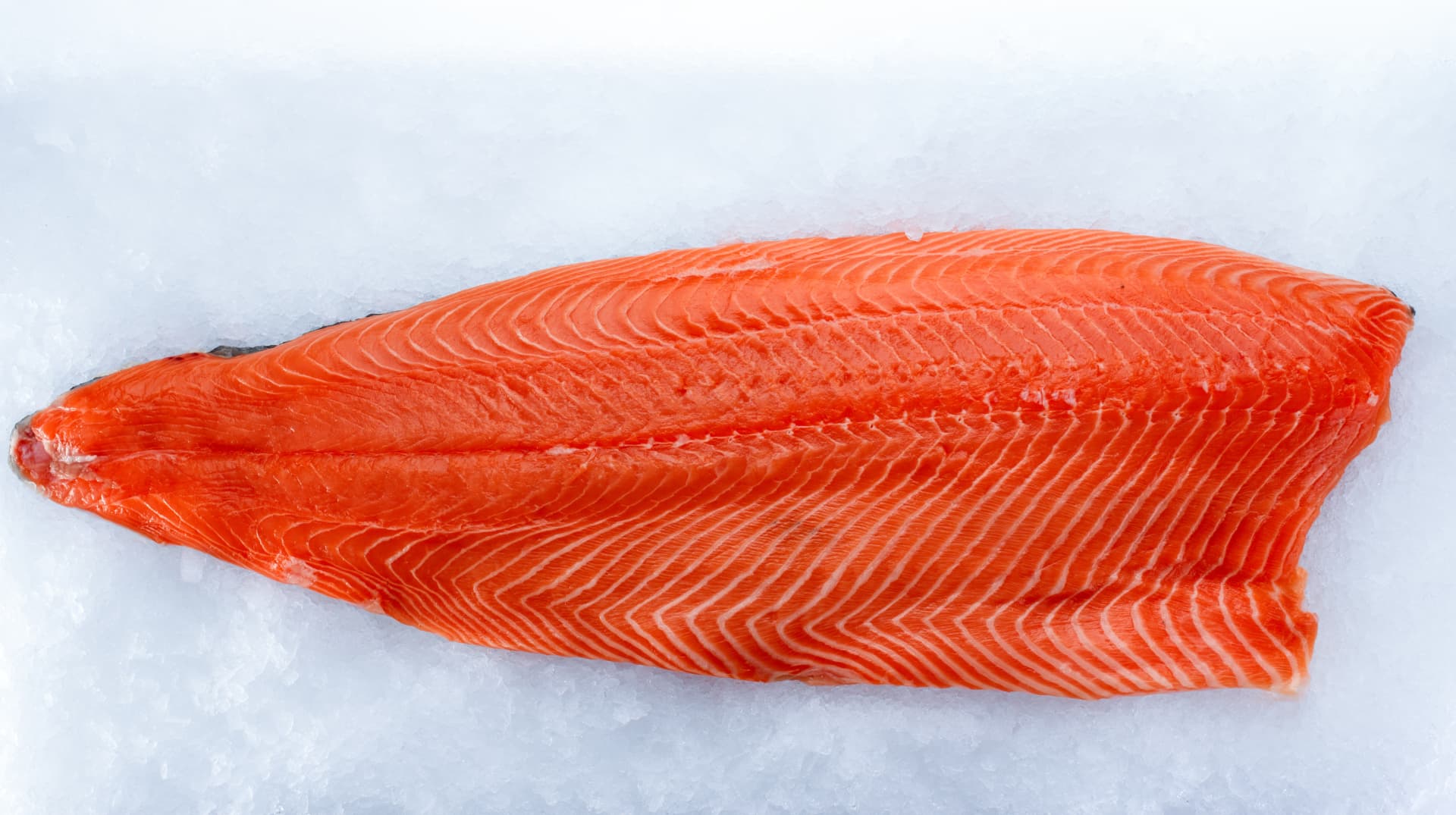 Salmon fillet