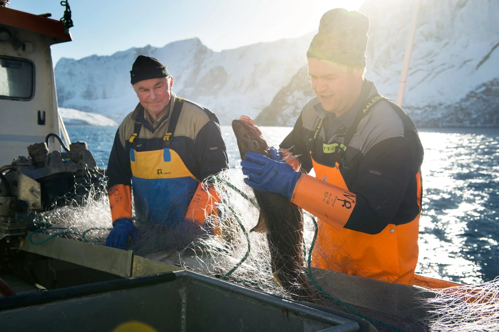 Dorsz i skrei (Gadus morhua) — Rybacy na pokładzie norweskiego statku ostrożnie wyjmują dorsza z sieci