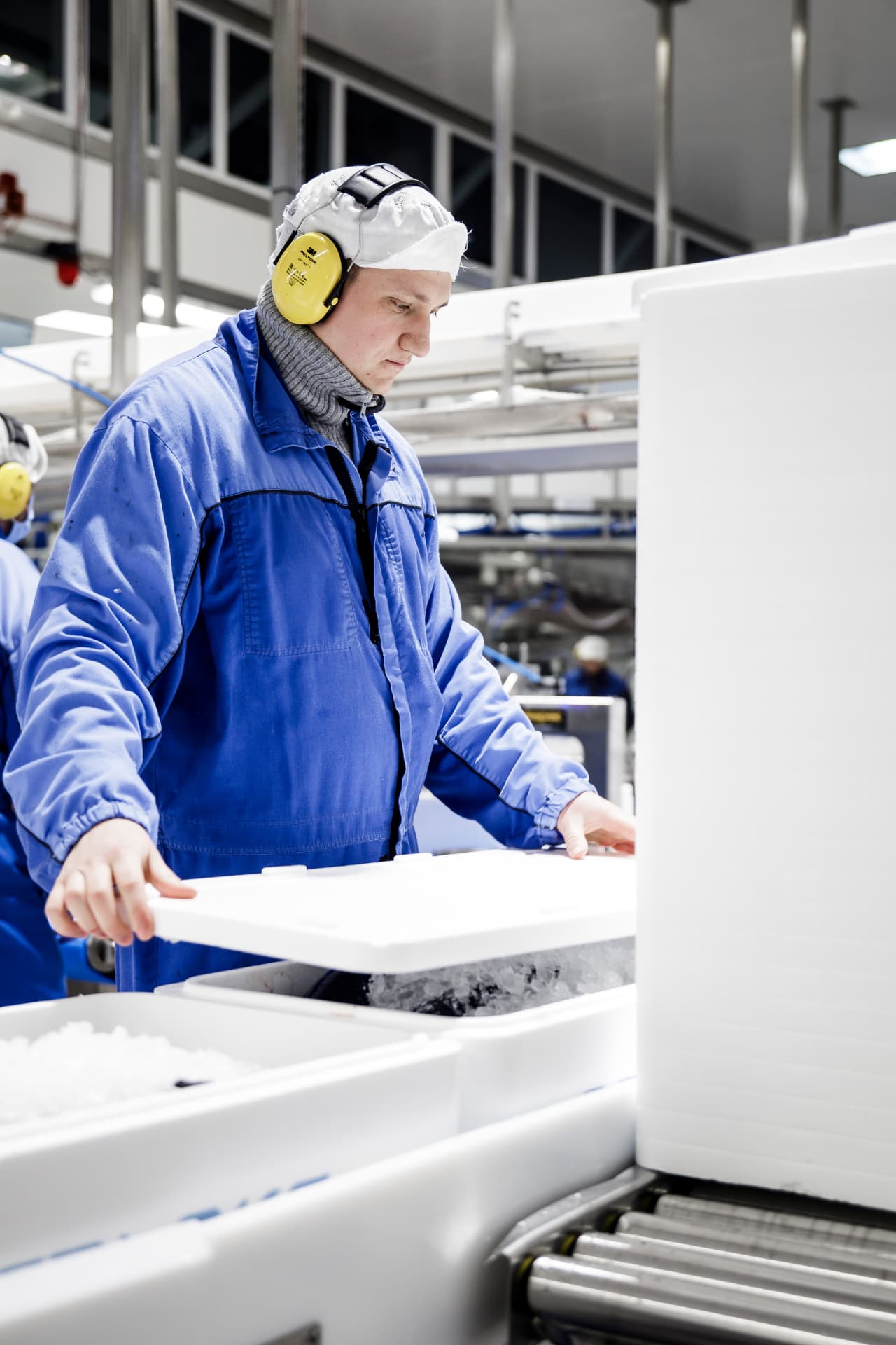 A worker closing an insulated box of whole salmon packed on ice
