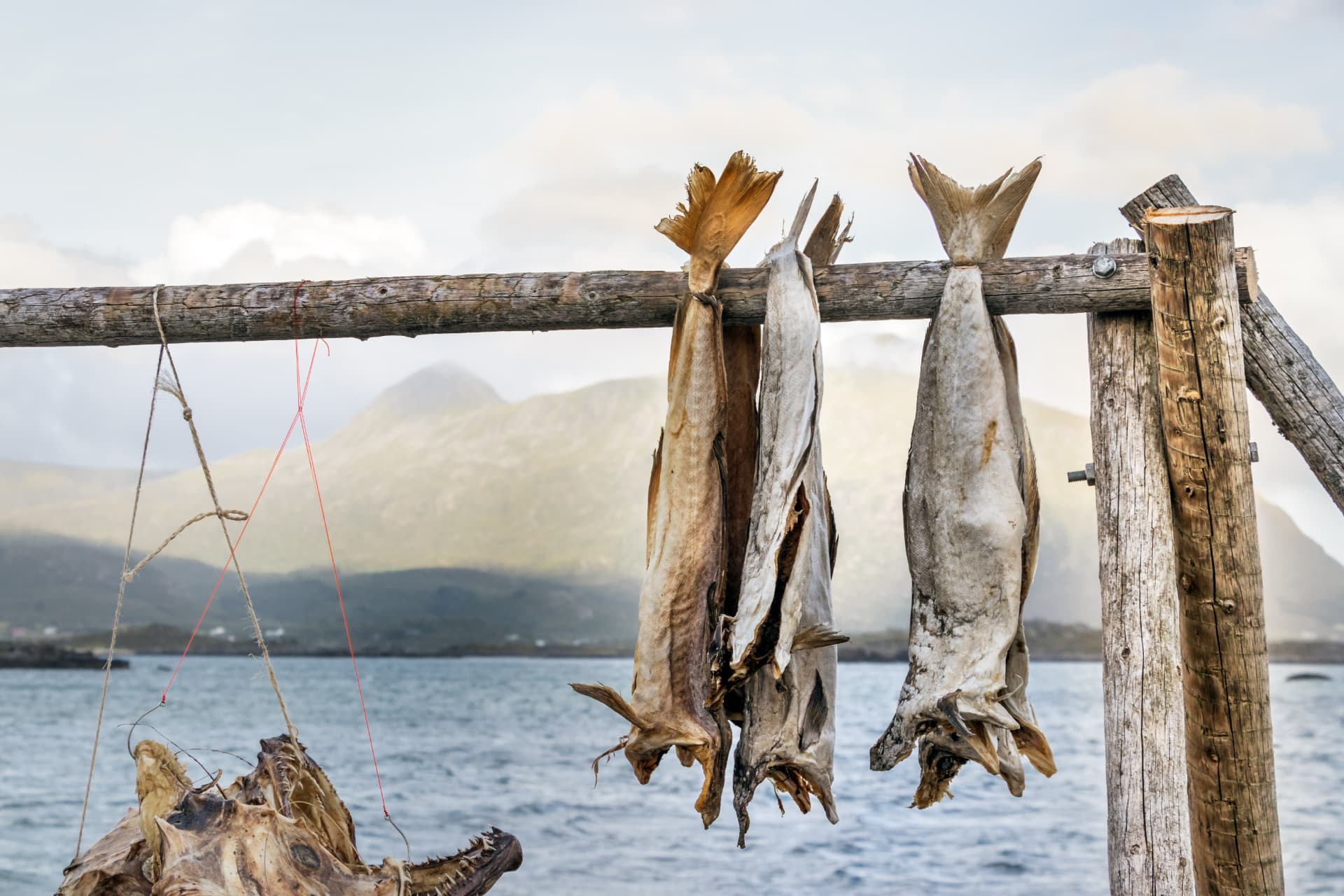 Stockfish